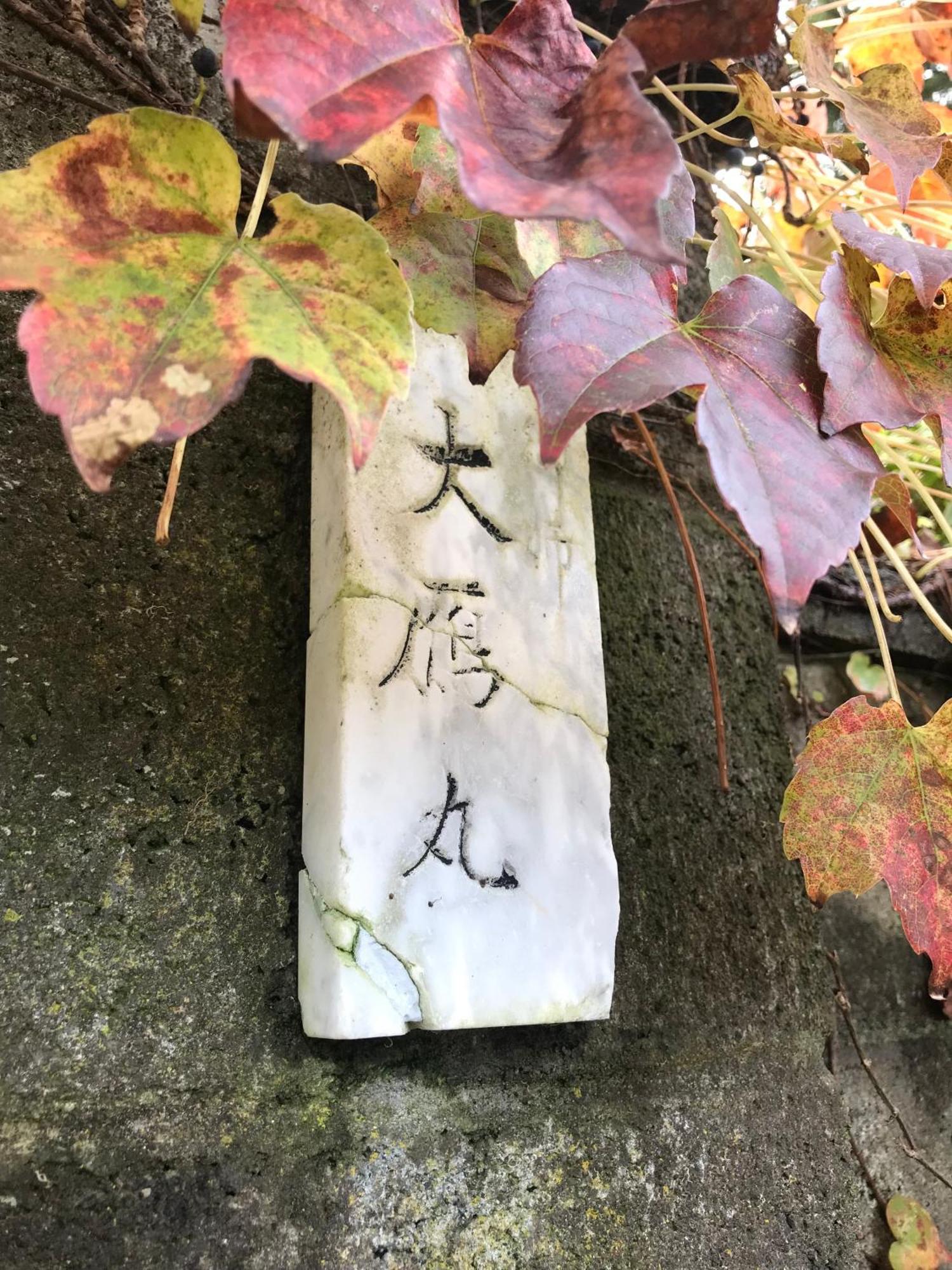 Отель Mt Fuji Historical Oshi House Hitsuki Фудзиёсида Экстерьер фото